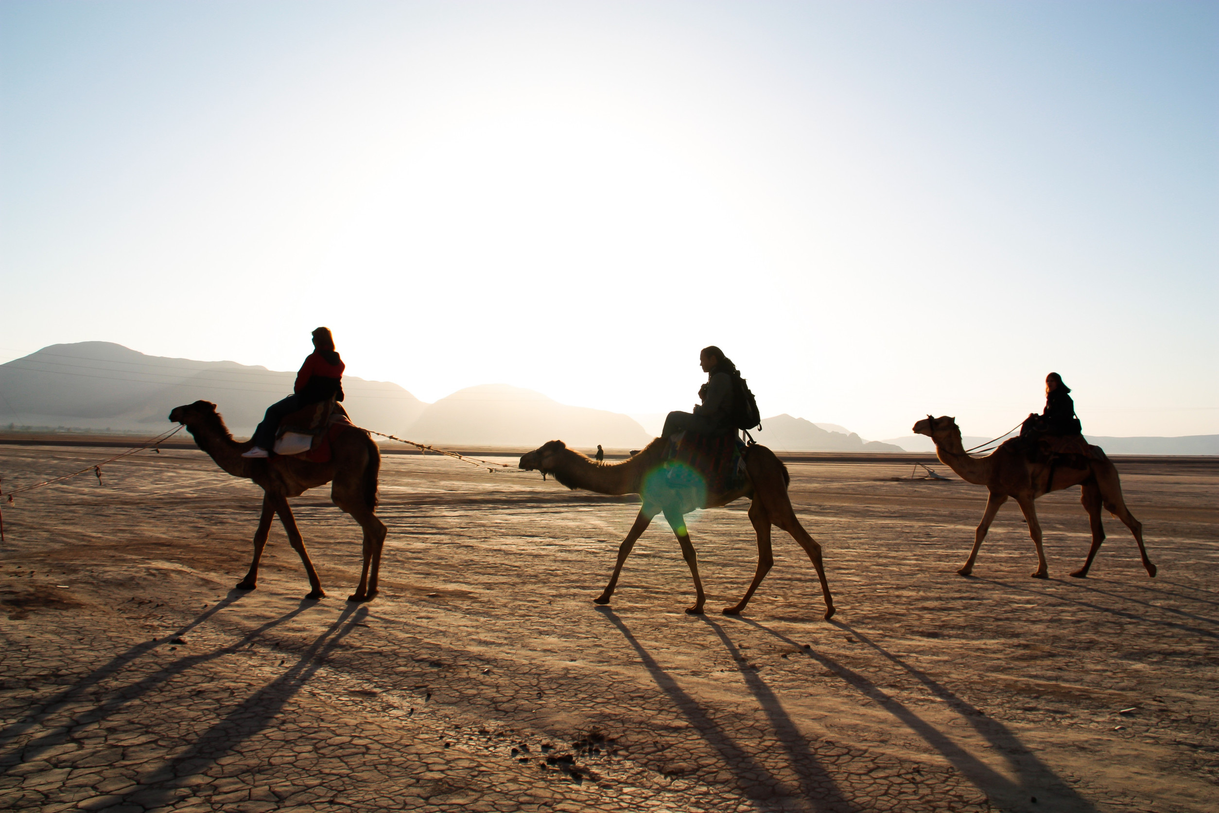 Camel ride during sunset