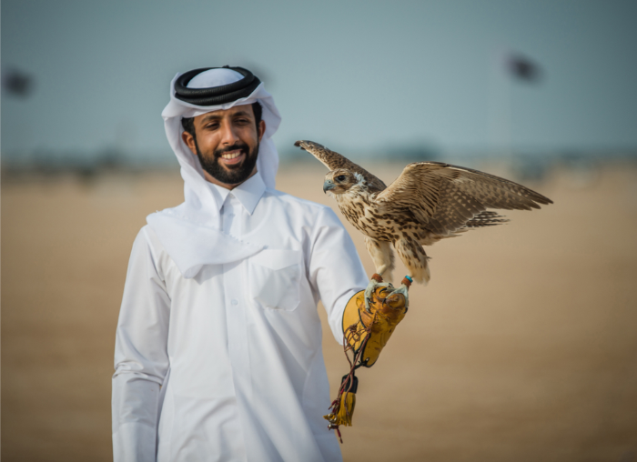 Falcons: A Soaring Symbol of Qatar