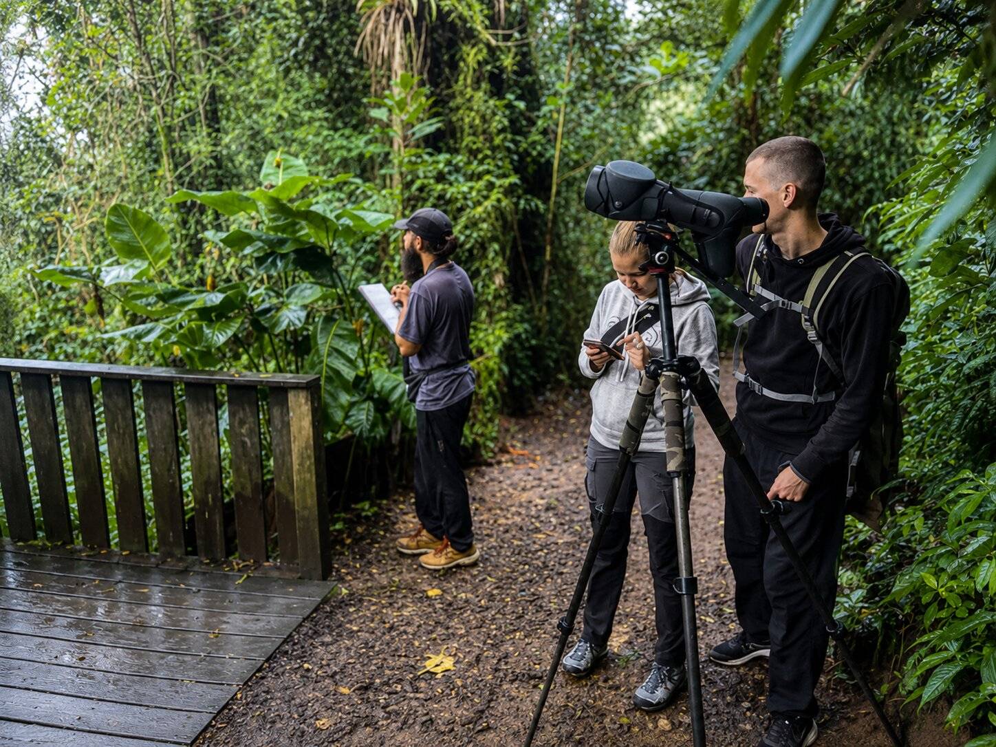 Photographers Taking Pictures Of Birds