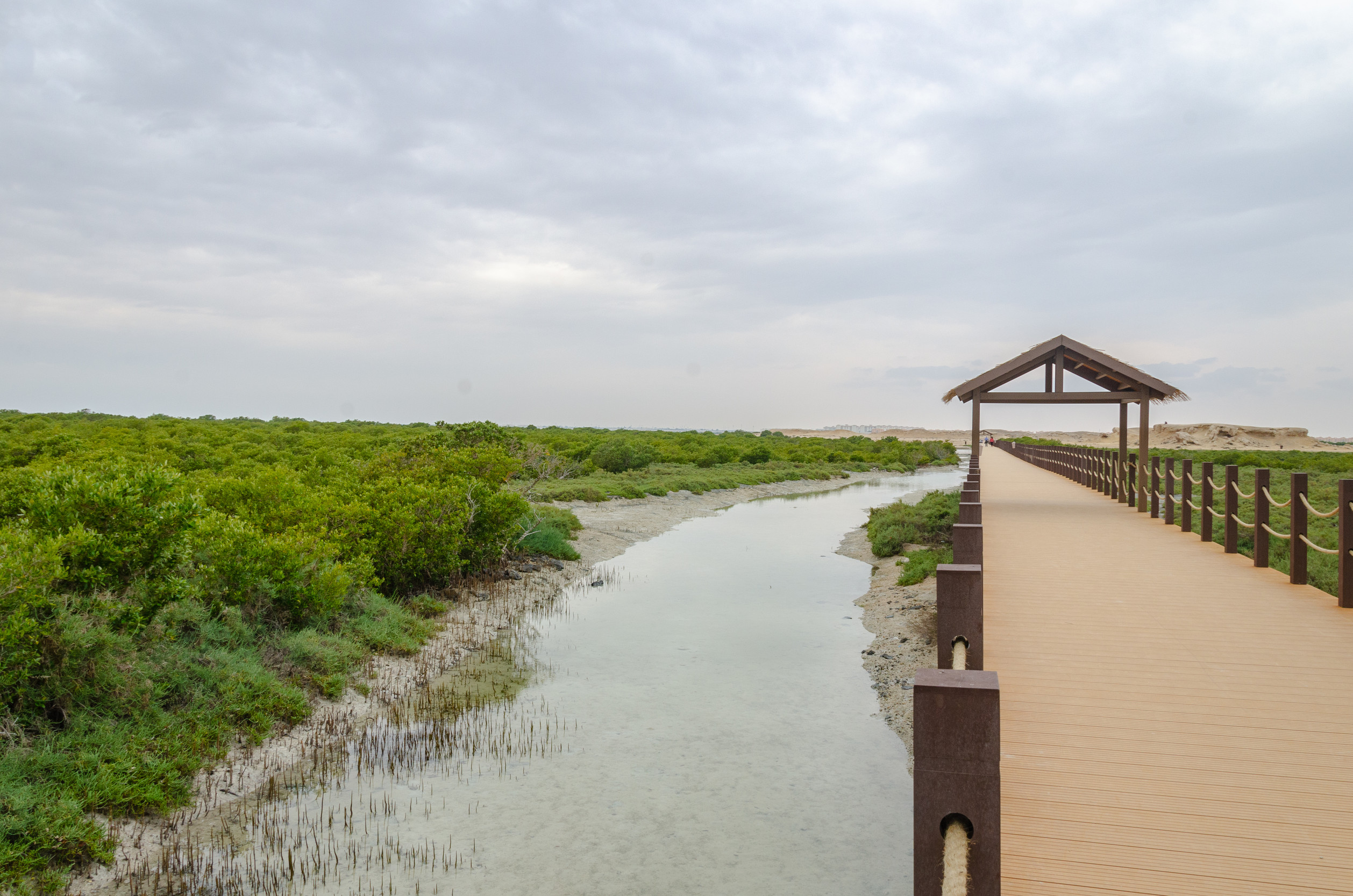 Purple island, Qatar