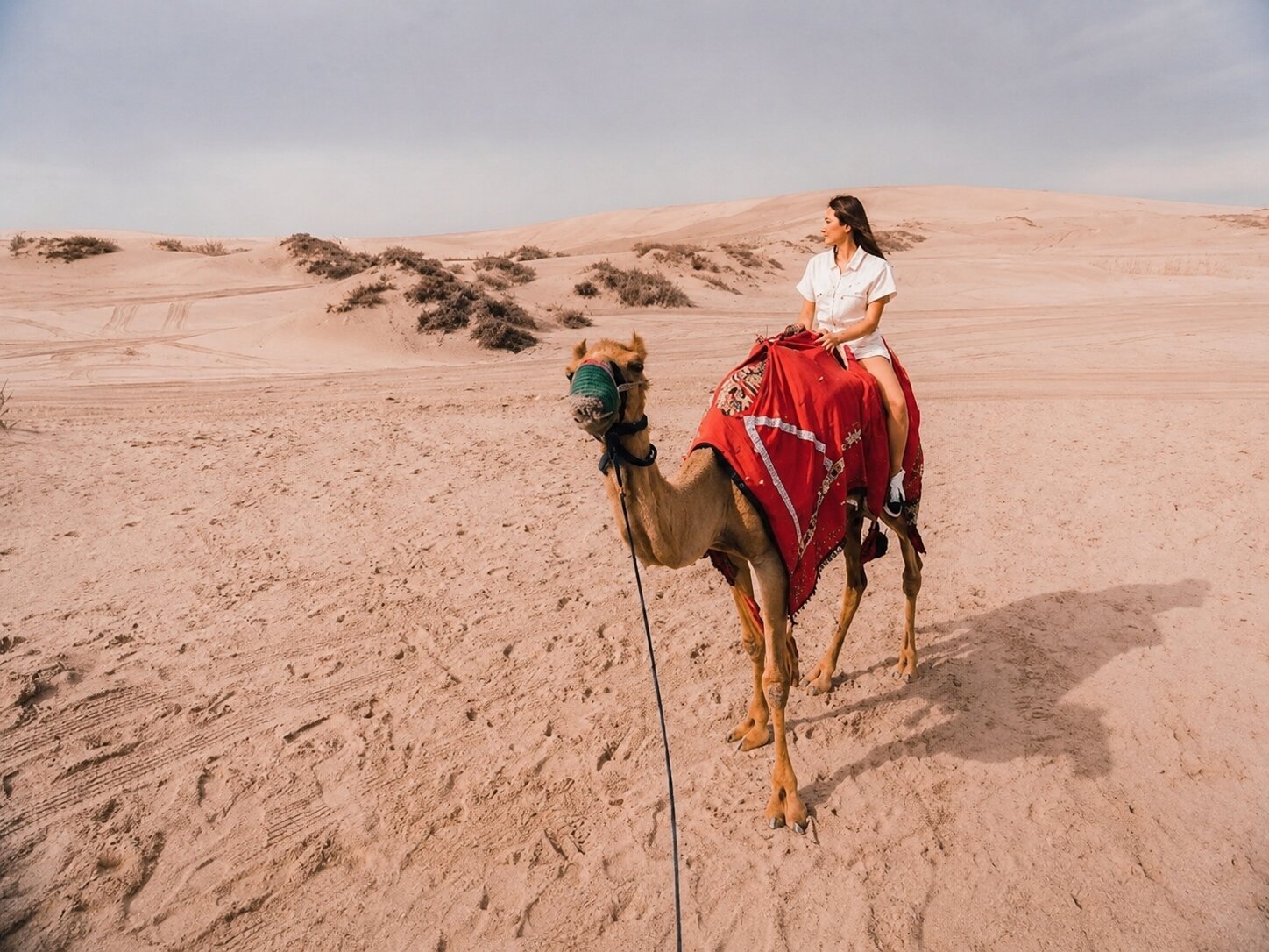Tourist Riding Atop A Camel In Khor Al Adaid